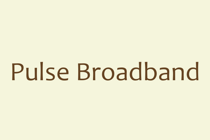 Software Firm Pulse Broadband