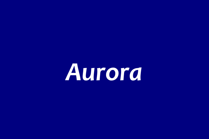 Employee Relations Aurora