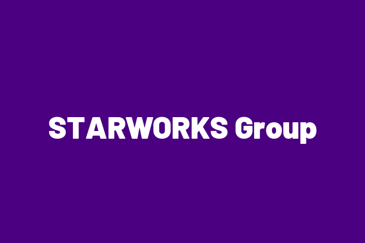 Technology Company STARWORKS Group