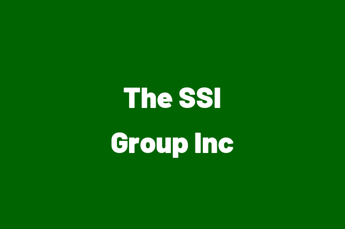 Software Development Company The SSI Group Inc