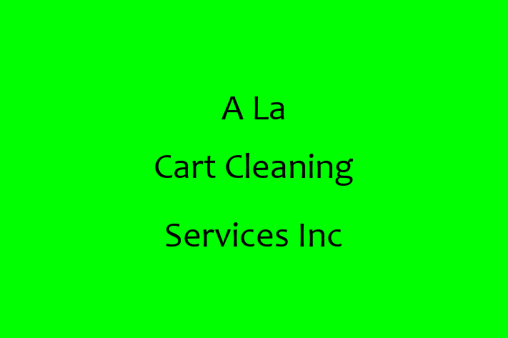 Domestic Cleaning A La Cart Cleaning Services Inc