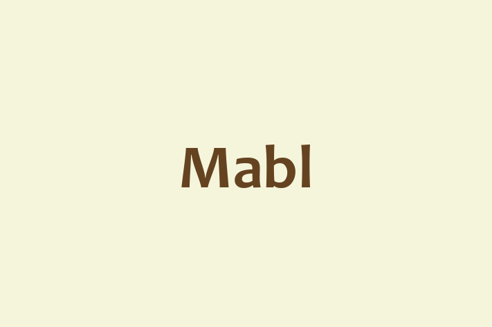 Tech Firm Mabl