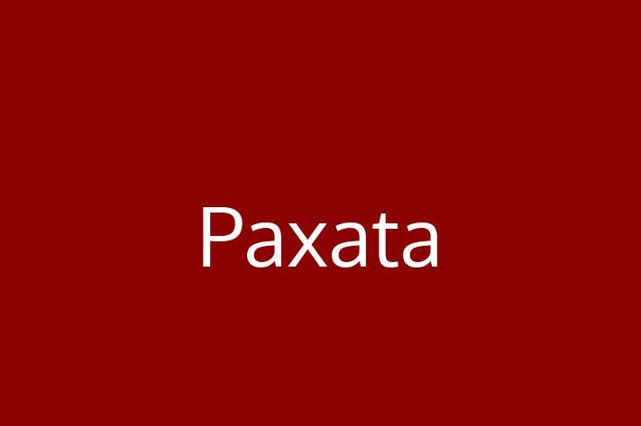 Technology Company Paxata