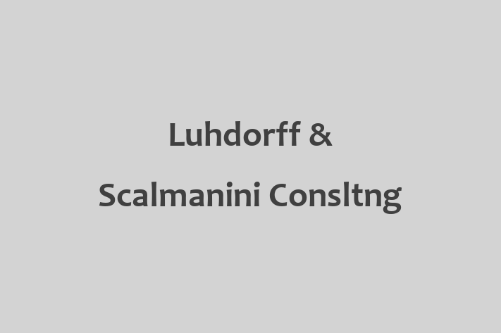 Software Development Firm Luhdorff Scalmanini Consltng