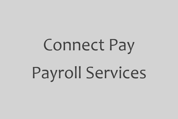 IT Company Connect Pay Payroll Services