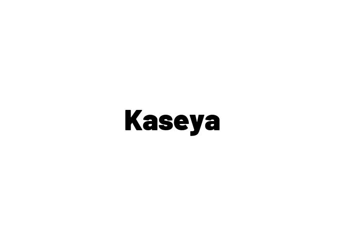 Digital Solutions Provider Kaseya