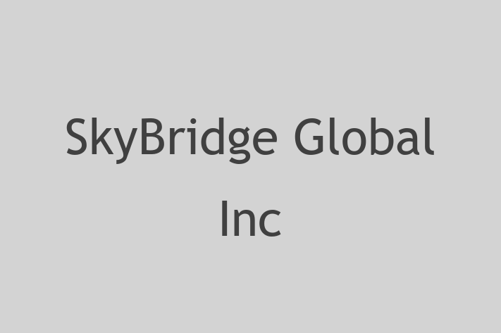 Digital Solutions Provider SkyBridge Global Inc