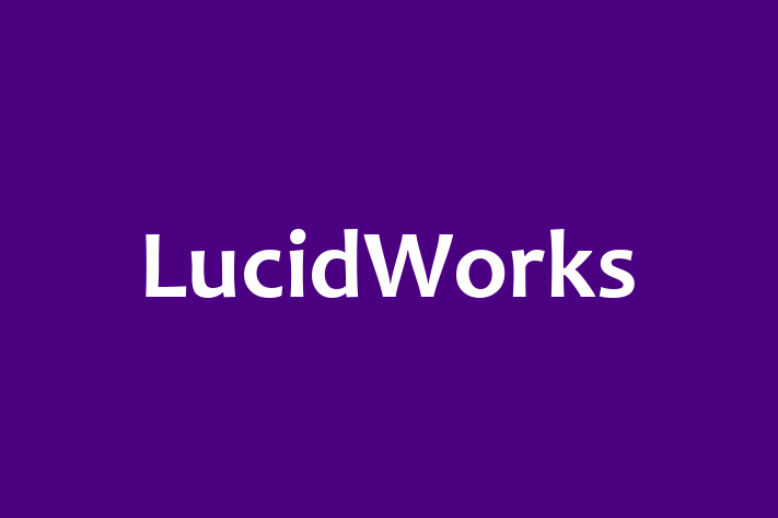 Software Services Company LucidWorks