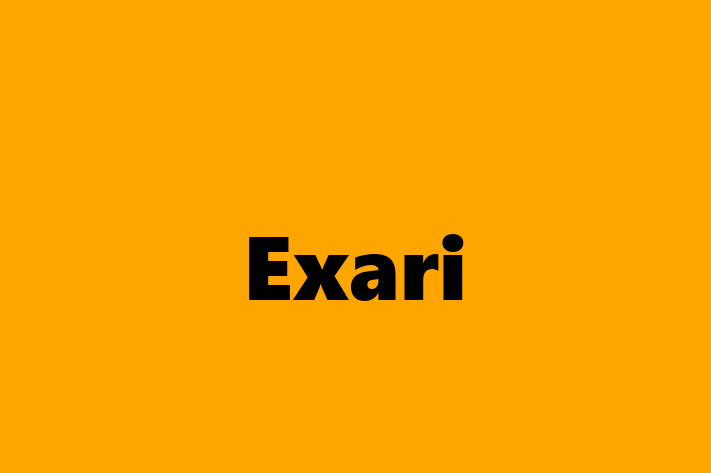 Software Engineering Company Exari