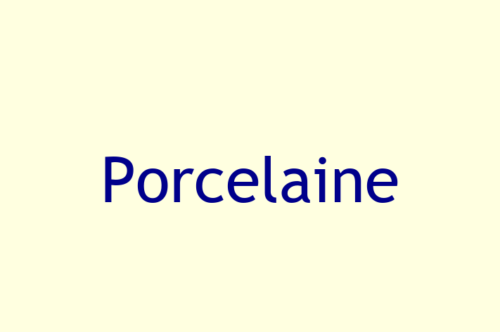 Porcelaine Dog Ready for a Home in West Covina