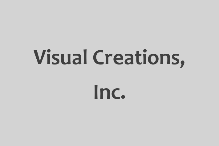 Software Firm Visual Creations Inc.