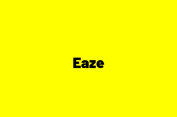 Tech Solutions Company Eaze