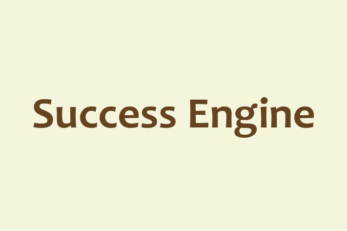 IT Company Success Engine