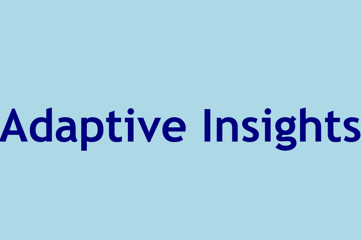 Technology Solutions Firm Adaptive Insights