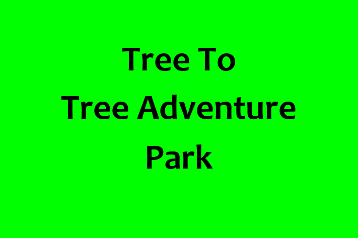 Tech Firm Tree To Tree Adventure Park