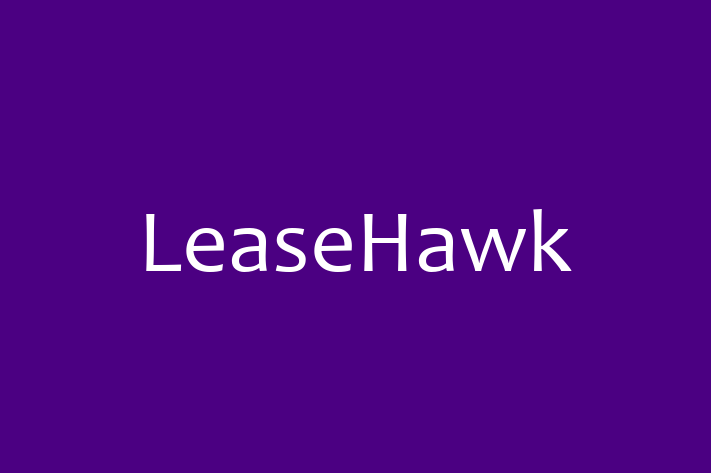 Technology Solutions Firm LeaseHawk