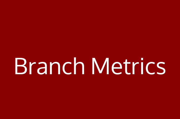 Software Firm Branch Metrics