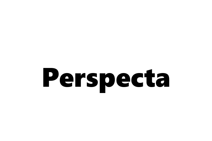 Tech Solutions Company Perspecta