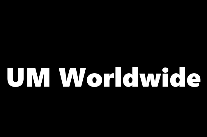 Software Development Company UM Worldwide