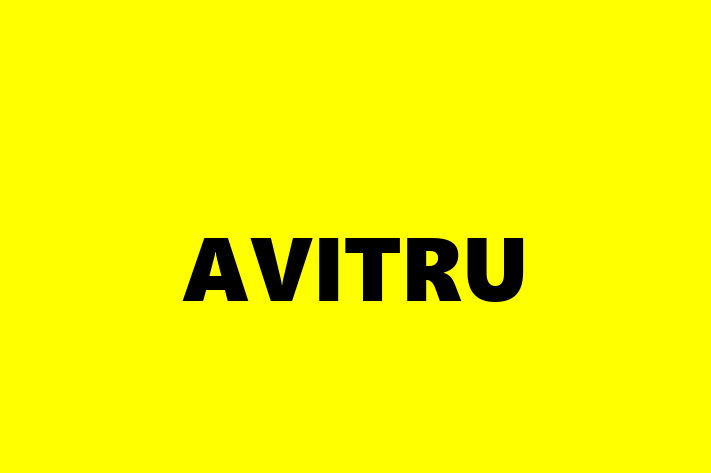 Digital Solutions Provider AVITRU