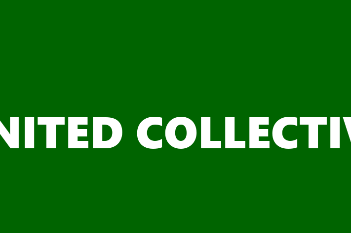 Digital Solutions Provider UNITED COLLECTIVE