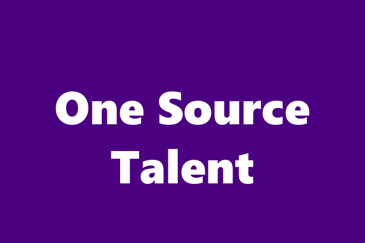 Software Development Company One Source Talent