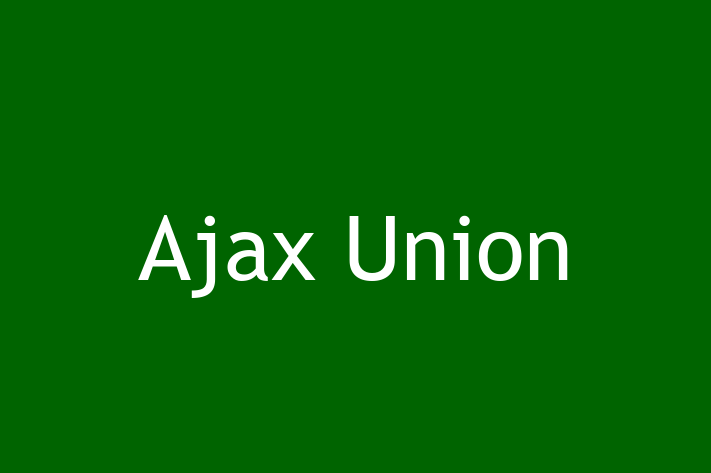 Technology Company Ajax Union