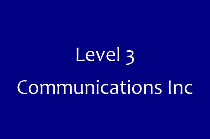 Software Services Company Level 3 Communications Inc