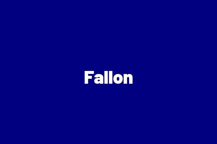 Software Engineering Company Fallon