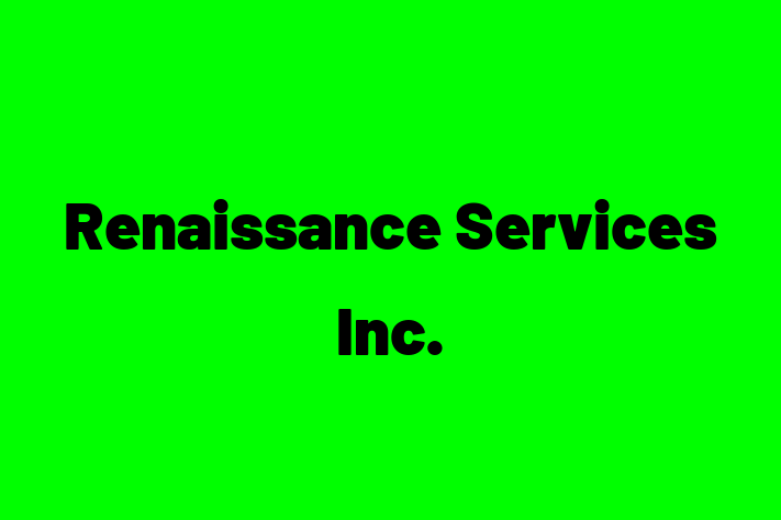 Technology Company Renaissance Services Inc.