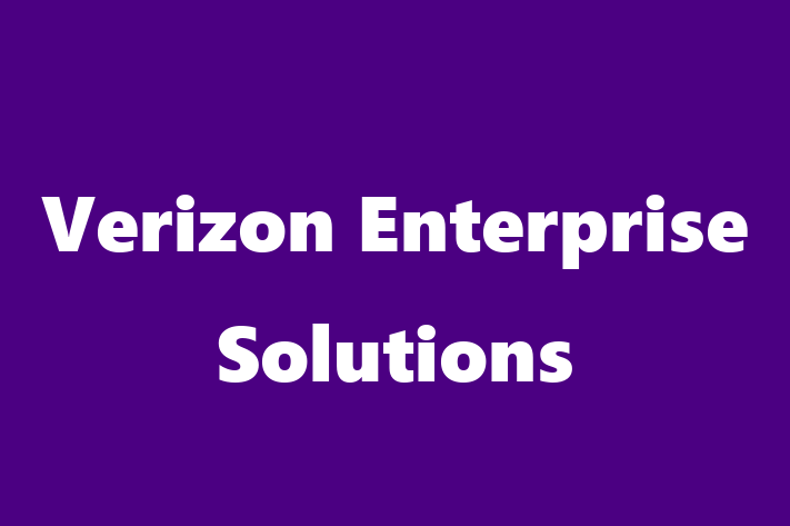 IT Company Verizon Enterprise Solutions