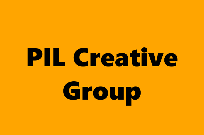 Software Solutions Provider PIL Creative Group