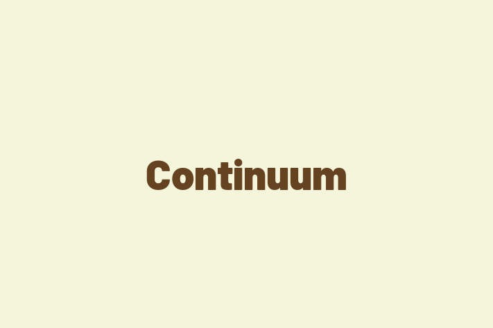 Software Consultancy Continuum