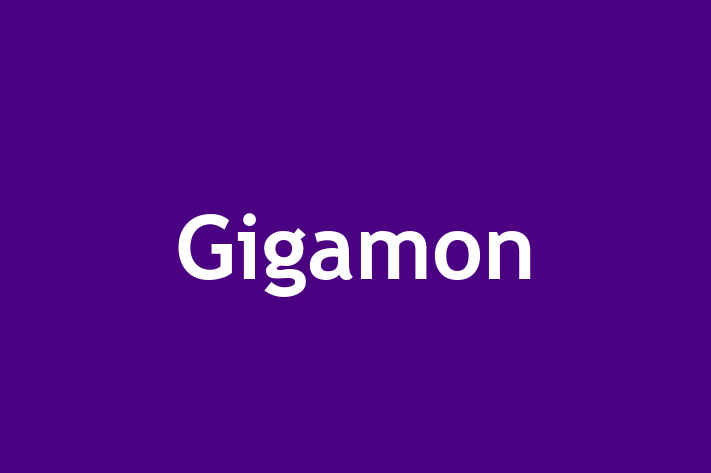 Human Resource Management Gigamon