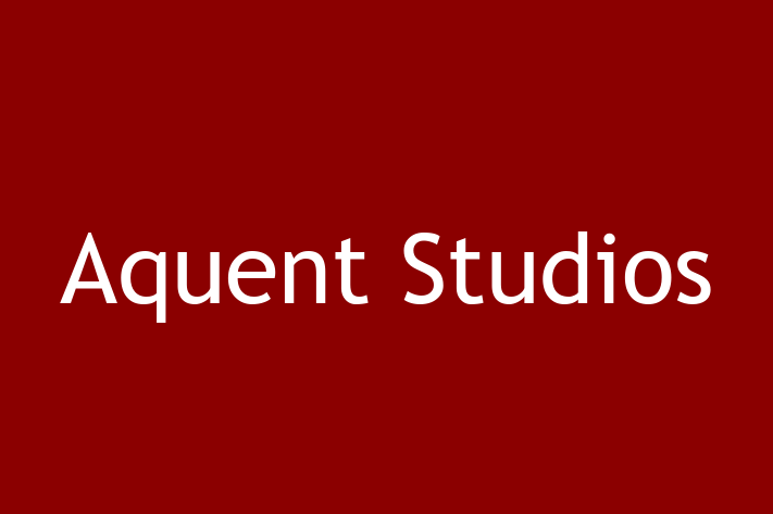 Digital Solutions Provider Aquent Studios