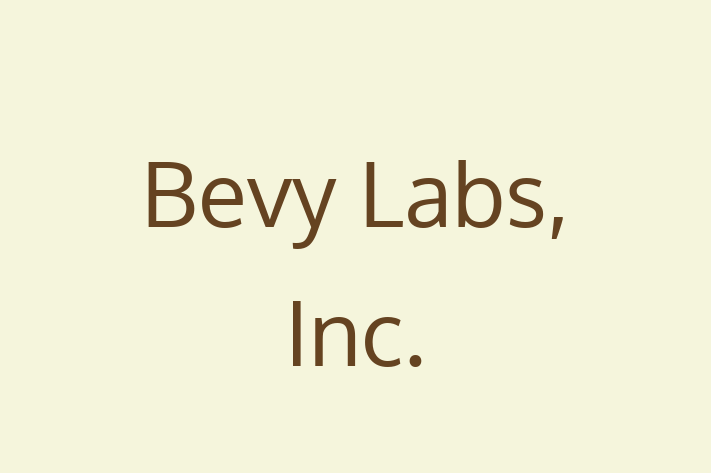 Software Development Firm Bevy Labs Inc.