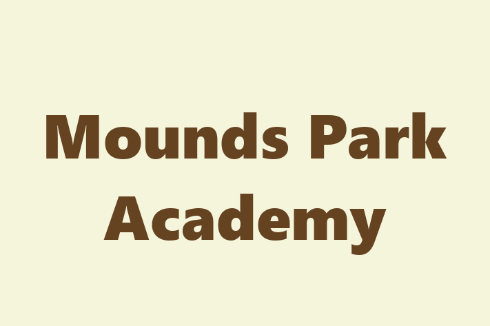 Software Services Company Mounds Park Academy