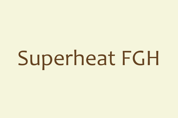 Application Development Company Superheat FGH