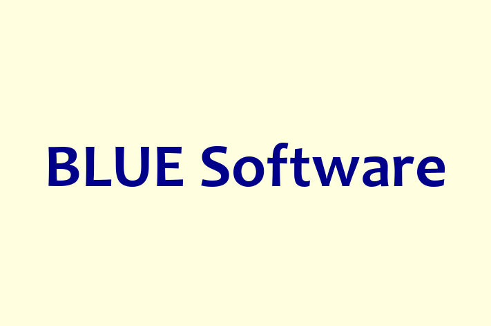 Application Development Company BLUE Software