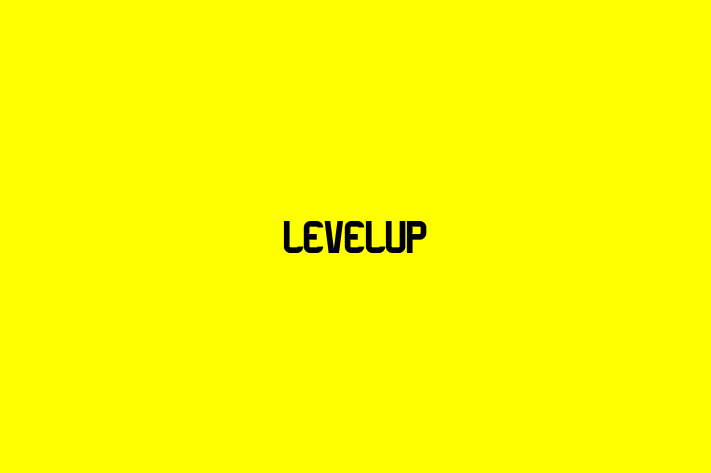 Tech Solutions Company LevelUp