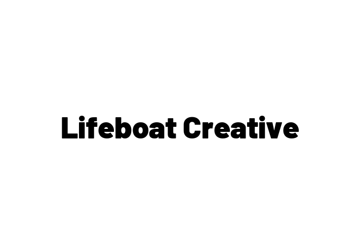 Software Services Company Lifeboat Creative