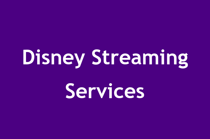 Employee Relations Disney Streaming Services