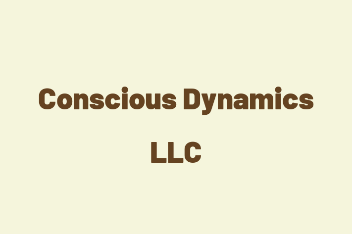 Digital Solutions Provider Conscious Dynamics LLC