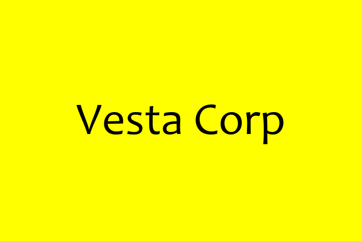 Software Engineering Company Vesta Corp