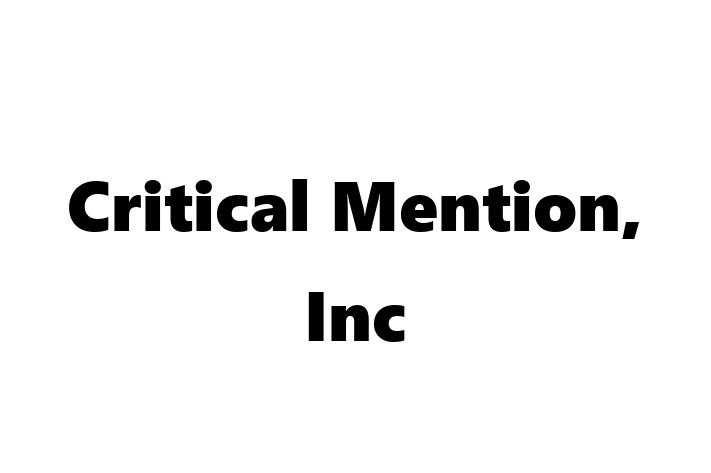 Technology Solutions Firm Critical Mention Inc