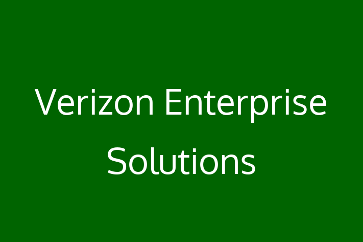 Digital Solutions Provider Verizon Enterprise Solutions