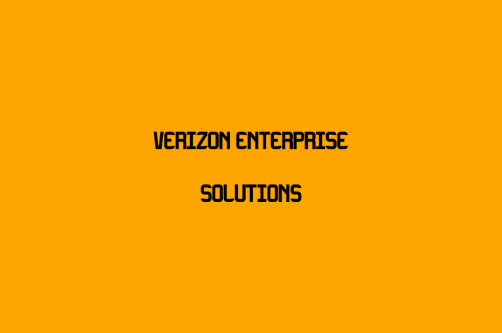 Software Solutions Provider Verizon Enterprise Solutions