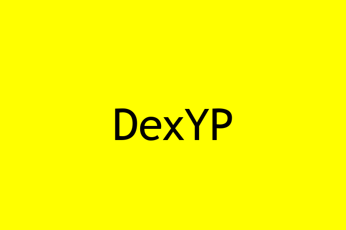 Tech Firm DexYP