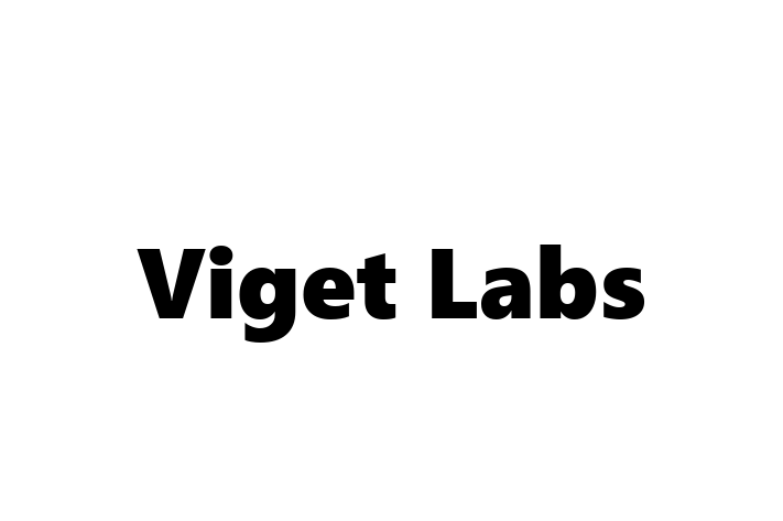 Software House Viget Labs