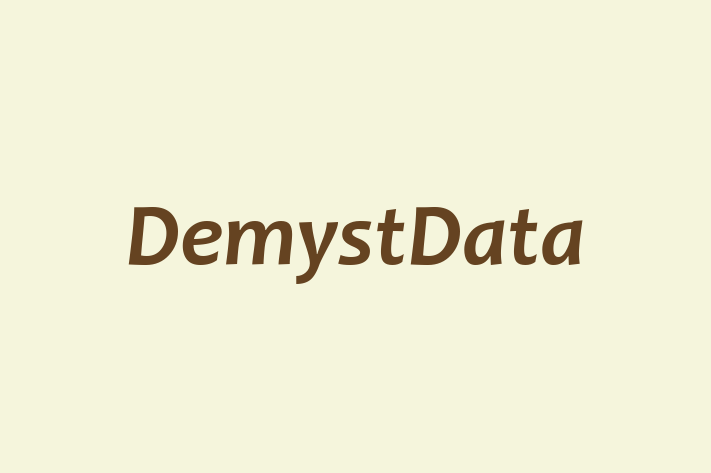 Application Development Company DemystData